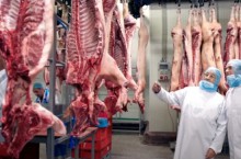 EU duy trì vị trí hàng đầu trong thương mại nông sản toàn cầu