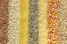 Bão Ida ở Mỹ gây ác mộng cho thị trường nông sản châu Á