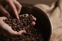 “Cơn sốt” giá cà phê có thể kéo dài tới 2022