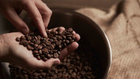 “Cơn sốt” giá cà phê có thể kéo dài tới 2022