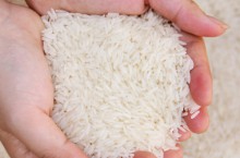 Nhu cầu gạo thơm tại Mỹ tăng mạnh – cơ hội cho xuất khẩu gạo Việt Nam