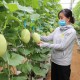 Nhiều cơ hội phát triển nông nghiệp công nghệ cao Việt Nam-Australia